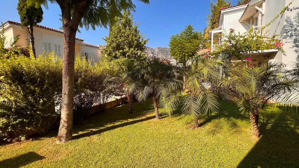 Large garden